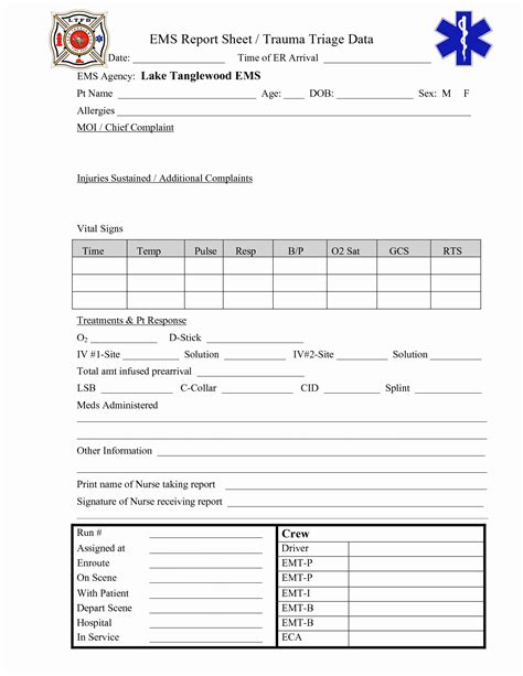 patient care report template ems